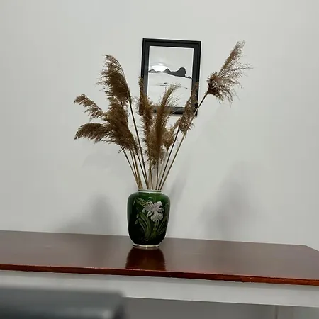 Privat bolig Deluxe Belgrade Airport Single Surčin