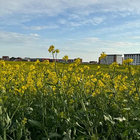 Deluxe Belgrade Airport Single Surčin